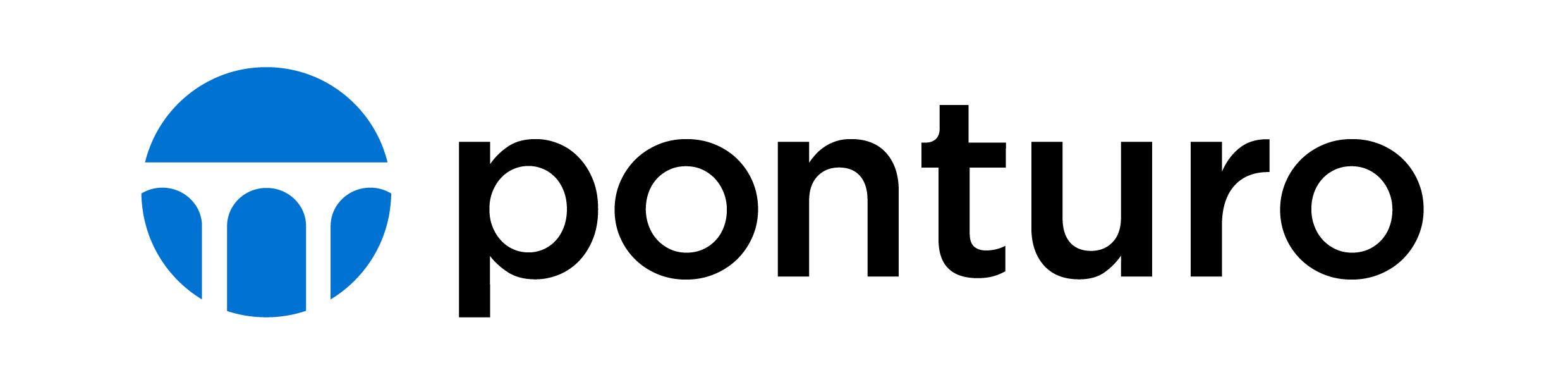 ponturo consulting AG