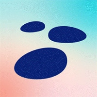 Previews Liquid Design All Devices